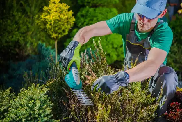 landscaping services Peck